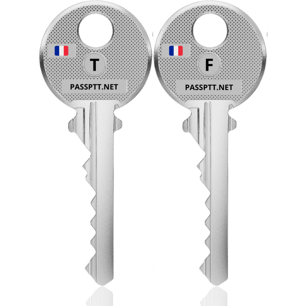 2 Clés Passe-PTT T10 Et F10 Pour Boîte Aux Lettres Normalisée - Acier Allié Chromé - Neuf